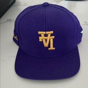 LA Lakers Dodgers Purple Snapback Hat with Gold Embroidered Logo